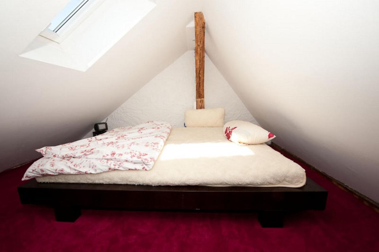 City Lux Apartment In Der Stadt ไฟรบวร์กอิมไบรส์เกา ภายนอก รูปภาพ